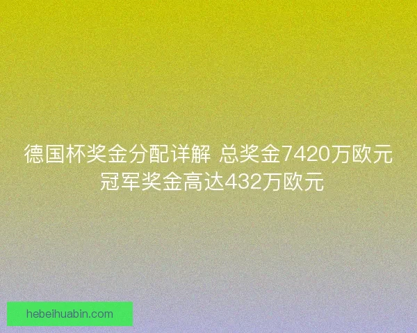 德国杯奖金分配详解 总奖金7420万欧元 冠军奖金高达432万欧元